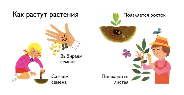 Природа. Моя первая книга
