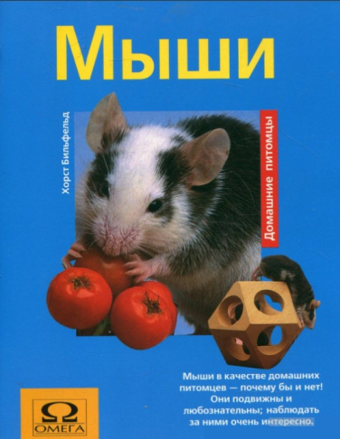 Мыши
