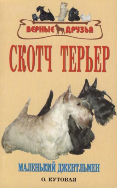 Скотч терьер. Маленький джентльмен