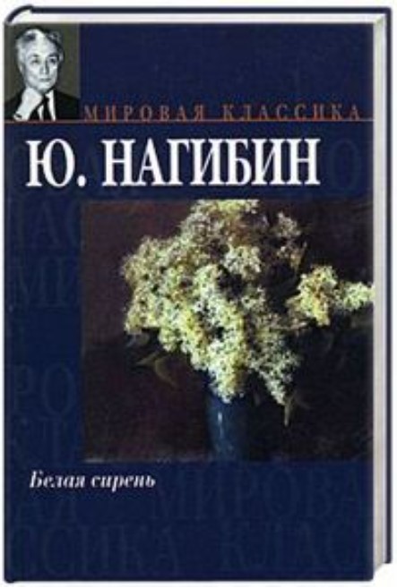Белая сирень