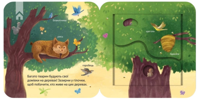 Хто живе у лісі? Зазирни у віконечко