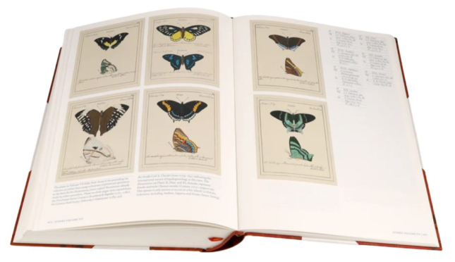 Iconotypes. A compendium of butterflies and moths / Іконотипи. Збірка метеликів і молей