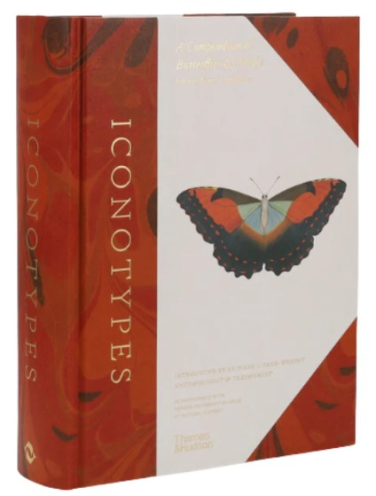 Iconotypes. A compendium of butterflies and moths / Иконотипы. Сборник бабочек и мотыльков
