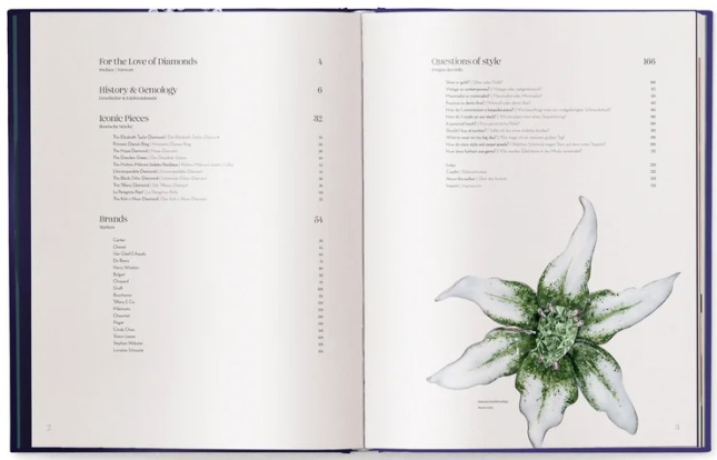 For the Love of Diamonds: The Fine Jewelry Book / Из любви к бриллиантам: Книга об ювелирных украшениях