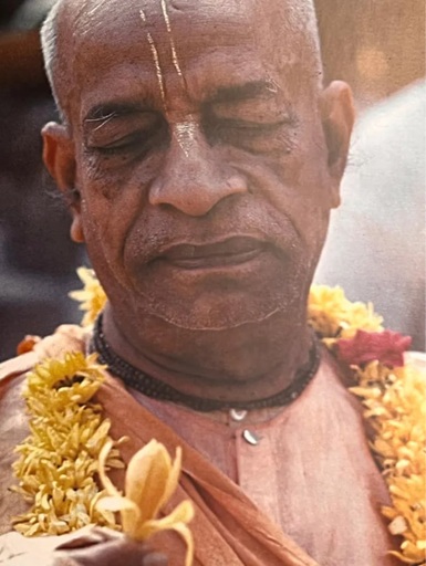 Высший вкус. Философия вегетарианства и лучшие вегетарианские рецепты со всего мира