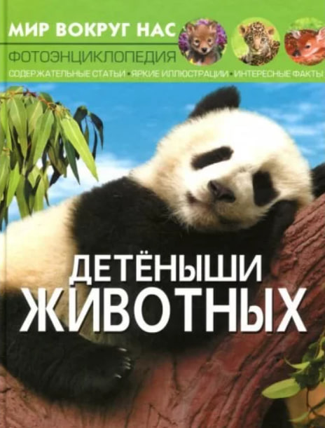 Детеныши животных. Мир вокруг нас. Фотоэнциклопедия