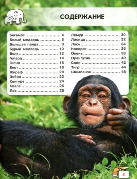 Детеныши животных. Мир вокруг нас. Фотоэнциклопедия