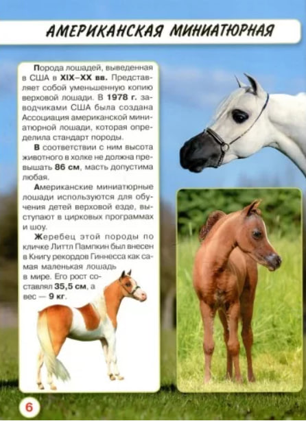 Лошади. Мир вокруг нас. Фотоэнциклопедия