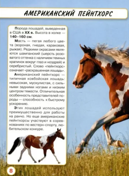 Лошади. Мир вокруг нас. Фотоэнциклопедия