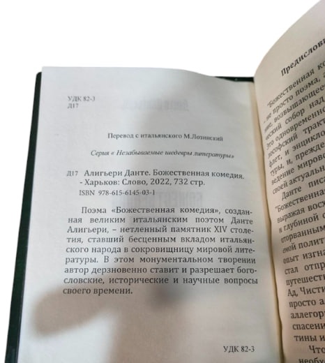 Божественная комедия (перевод М. Лозинский)