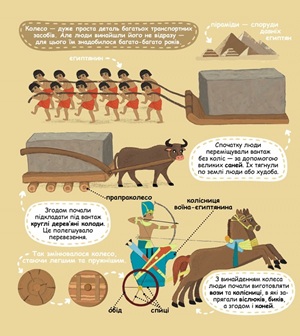 Улюблені машинки: легкові та вантажівки