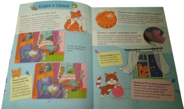 Почему кошки не дружат с собаками? 100 интересных фактов о домашних животных