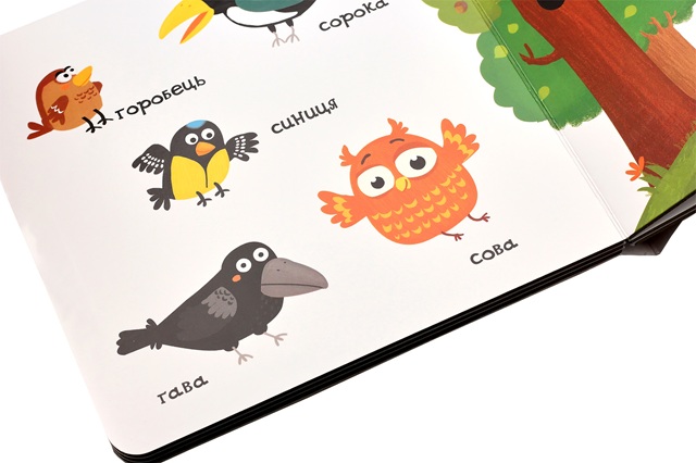 Тварини в лісі