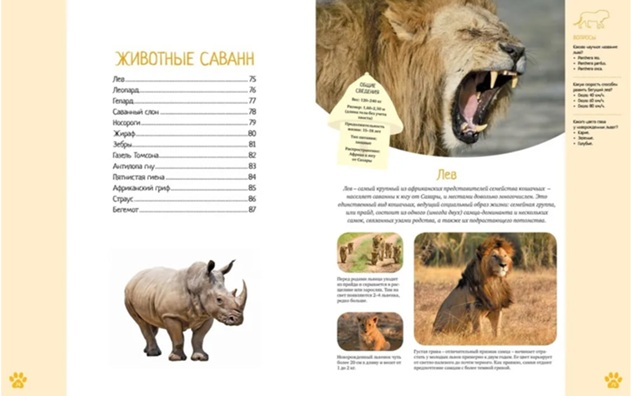 Красочный мир животных