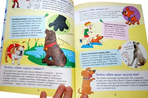 Почему кошки не дружат с собаками? 100 интересных фактов о домашних животных