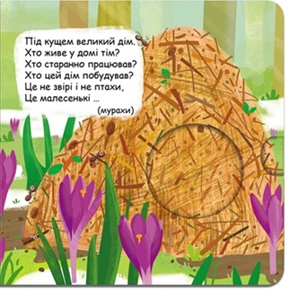 Хто сховався у лісі?