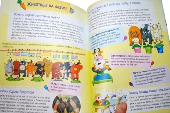 Почему кошки не дружат с собаками? 100 интересных фактов о домашних животных