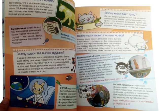 Почему кошки не дружат с собаками? 100 интересных фактов о домашних животных