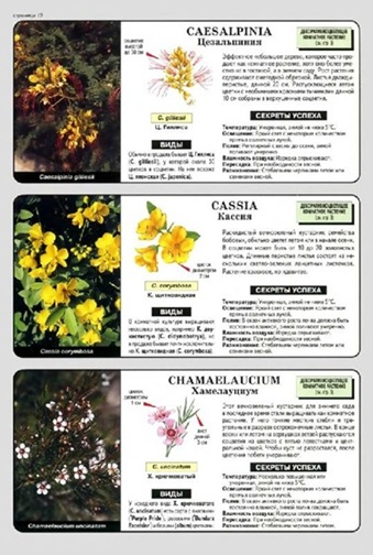 Все о комнатных растениях. Книга 2