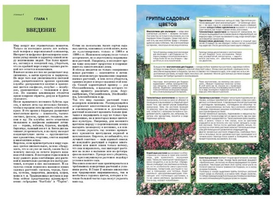Все о цветах в вашем саду