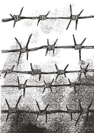 Жовтий метелик