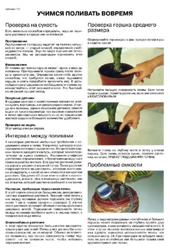 Все о комнатных растениях. Книга 2