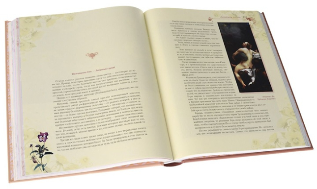 Цветы в легендах и преданиях. Подарочное издание. Сокровища мировой литературы