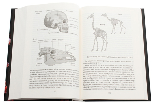 Найграндіозніше шоу на Землі: доказ еволюції