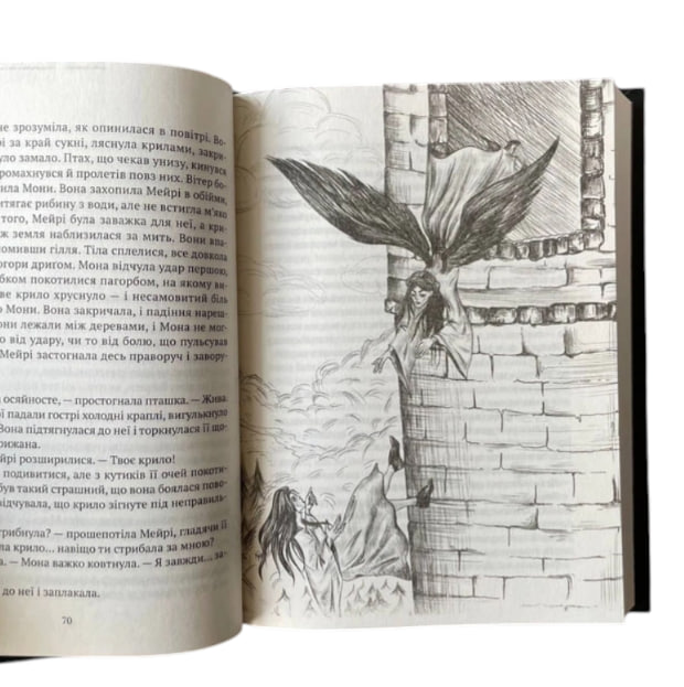 Замок із кришталю. Книга 2. Земля крилатих