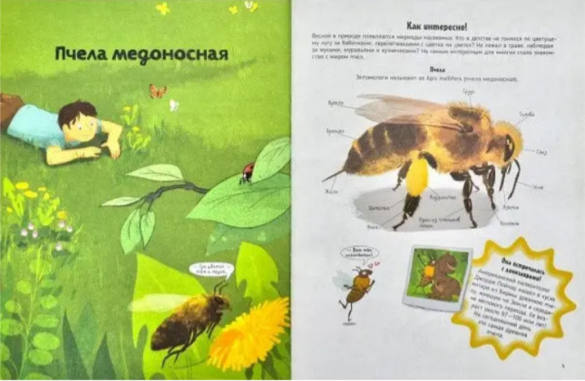 Пчелы. О чем говорят животные. Секретная энциклопедия