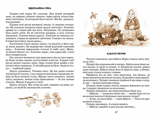 Квітка сонця
