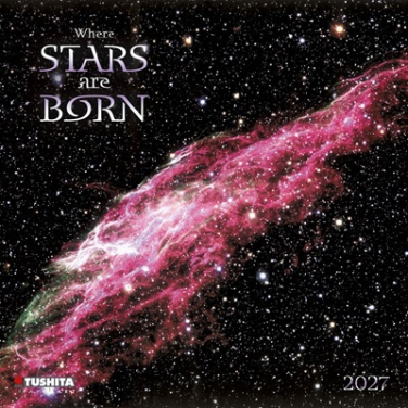 Настенный календарь. Where the Stars are Born 2027 (Где рождаются звезды 2027)
